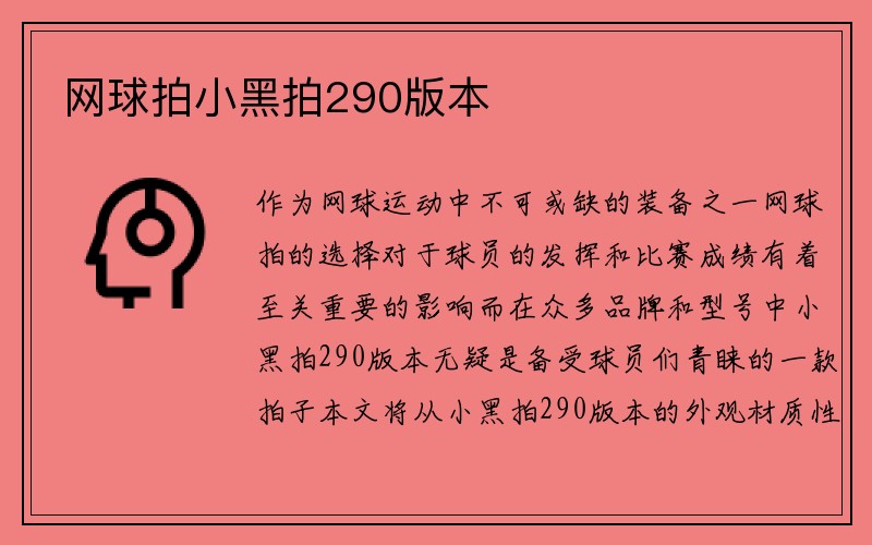 网球拍小黑拍290版本